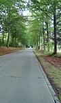IMG_20200727_092143