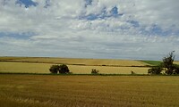 IMG_20200727_145250