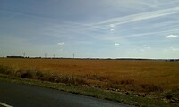 IMG_20200729_103347