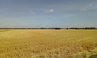 IMG_20200729_103332