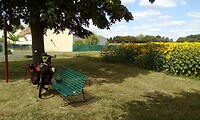 IMG_20200729_115511