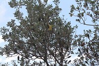 IMG_1160