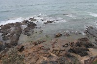 IMG_1164