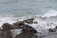 IMG_1165