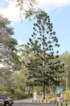 IMG_1308