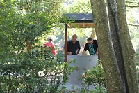 IMG_2266