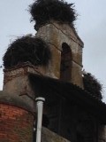 Ooievaarsnest op de kerktoren