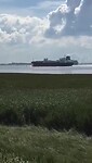 Zeeschepen op de Schelde