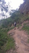 Trail