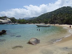 8. Carribean