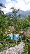 13. Monte verde