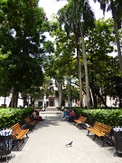 11. Park