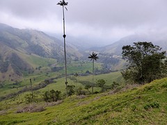 14vallei