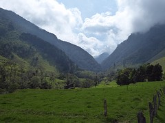 Cocoravallei