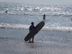 Ready to surf