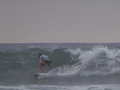 Surfleraar