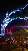 Kerstverlichting