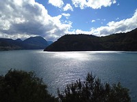 DSC00236