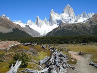 DSC00926