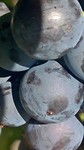 WP_20170108_012