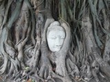 Wat Maha That