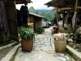 CatCat village