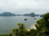 Monkey Island