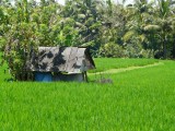 Landschap