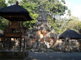 Tempel Monkey Forrest