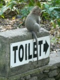 Toiletmevrouw