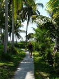 Wandelen