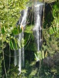 Sekumpul falls