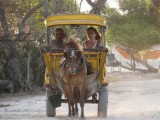 Terug in de tijd op de Gili's
