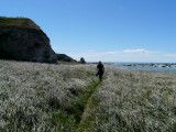 Wandelpad