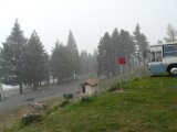 Sneeuwbuitje