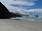 Allans Beach (Otago Peninsula)