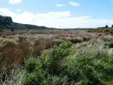 Okia Flats