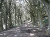 Sandymount Trail