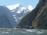 Bootcruises