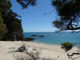 Abel Tasman blauw