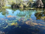Helder water