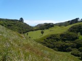 Van Cape Farewell naar Spit
