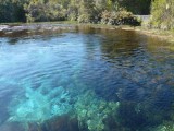 Waikoropupu springs