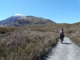 Frisse start alpine crossing