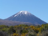 Mount Ngauruhu