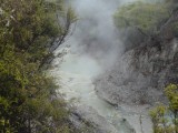 Vulkanisch park Wai-o-tapu