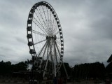 Wheel of Brisbane