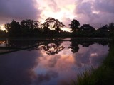 Zonsondergang Ubud