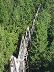 Baumkronenweg