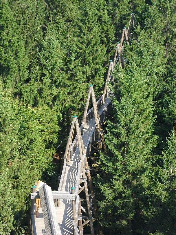 Baumkronenweg